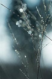 《黑神话：悟空》媒体前瞻泄露 不是类魂游戏